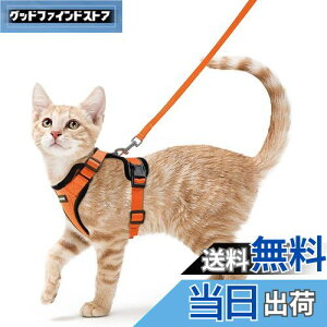 【送料無料】Rabbitgoo 猫 ハーネス リード セット 犬猫兼用 超小型犬 小型犬 抜けない ソフト胸あて 軽量 足を上げず装着完成 サイズ調節可 夜反射 通気メッシュ 咳込み防止 散歩 猫用ハーネ