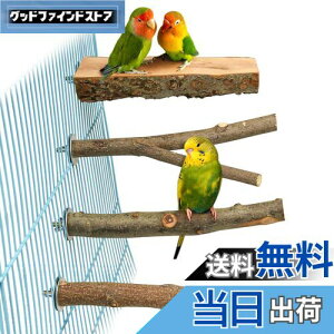 4_Zbg  ~܂ ~܂ ܂𖁂񂲂̖ R ނ ܂ p[` CR IE   ZLZCCR IJCR ₷݃{[h Vѓ P[WANZ