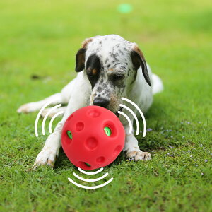 yzpet prime   {[ ^p ۂۂ퉹o dďvȉ̏o邨 傫ȉDȃ ȒP ^ a14cm