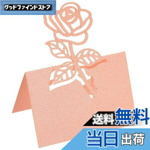 yzPATIKIL e[uꏊJ[h 25 Dӑ [YJbgfUC uNJ[h I̐ȎDp sN