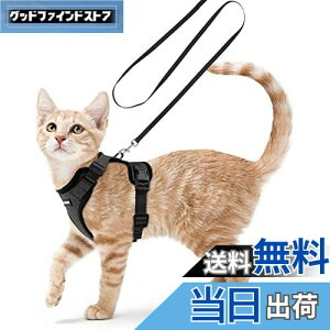 yzRabbitgoo L n[lX [h Zbg ^ Lp Ȃ ́[˂ \tg y グ TCY߉ lR U R 锽 ʋCbV Pݖh~ 