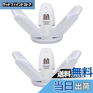yzLaiqianle K[WCg 100w 2 LEDV[OCg y_gCg Ɠ 6 F 6500K VƖ tȒP Hsv px߉\ ȃGl Ԍ q [ HpCg 