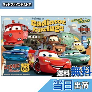 yzXP[^[(Skater) qp W[V[g  STCY 60×90cmTCY fBYj[ J[Y 24 VS1-A