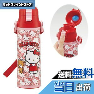 yzXP[^[(Skater) qp XeX   580ml n[LeB 낤 TI qɗDyʃ^Cv ۗp waterbottle X|[c{g 킢LbY q 