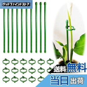 yzBIUTEFOR x | Ax ϗtA x yԎx*10/tH_*20zԎx Ӓϗtx U x AT|[g _Ɨp |pi K[fjOԎxx y30CMz