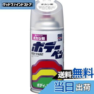 yz\tg99(SOFT99) 99H[ CyCg {f[y {JV 300ml ԃ{fBAop[AA؍ 08004