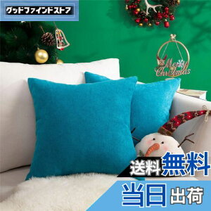 yzTopfinel NbVJo[ lۂ 50×50cm k  Ȗ n \t@w Jo[ zcJo[ u[ 2ZbgiS10Fj