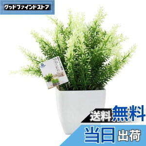 yzTOSSOW lHϗtA  tFCNO[ tFCNϗtA l CeA v[g Ηt