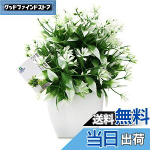 yzTOSSOW lHϗtA  tFCNO[ tFCNϗtA l CeA v[g ΂Ɣt