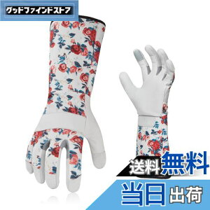 yz[Vgo...] fB[X K[fO[u  rJo[ gQh~ rv| p O  Ɨp (Size L,zCg,GA9658)