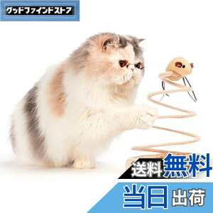 yzL ] lY~ Lpmߋ VԔ TCUʂ V ^s XgX L炵̂ (˂)