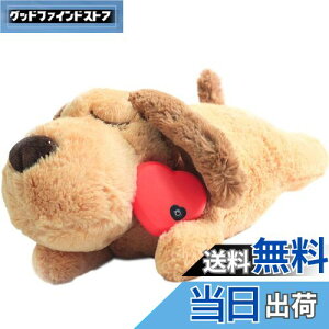 yzDEWU ybgpn[gr[gʂ݁Aqŝ\tgybgg[ʂ݃X[sOofBs⏕sɘa⏕ʂ݃X}[gL