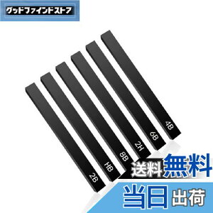 【送料無料】himsyuden 画用木炭筆 6本入 画材 木炭スティック 木炭 スケッチ 鉛筆 デッサン用の木炭棒 絵具 美術用品 塗り絵 描き 素描 プロのアーティスト