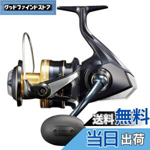 yzV}m(SHIMANO) XsjO[ 21 XtFX SW 8000PG ItVA WMO LXeBO