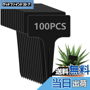 yzzakata |x A^O Ax  T^x 100 | Ԓd A K[fjO Ďgp\ K[fjO Ŕ ~j CeA |pi