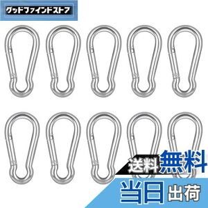 【送料無料】XSAJU カラビナ 304ステンレス Dリング 小型 自動ロック アウトドア用品 登山 キャンプ用品 (4cm 10個セット)