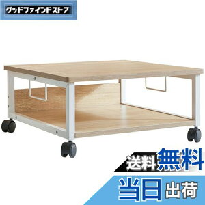 yzIBUYKE v^[ 2i ItBXS [ [ fXN ω׏d50kg LX^[t 50cm s50cm 24cm i` JPTLJ008R