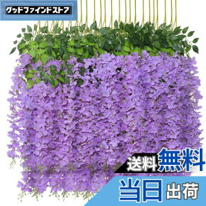 yzsiawadeky ̉  12{ lH lHϗtA ͂Ȃ ΂̗t 艺 ԏ x_ K[f  p[eB[ Ǒ ԗ VN ʐ^Be 뉀 