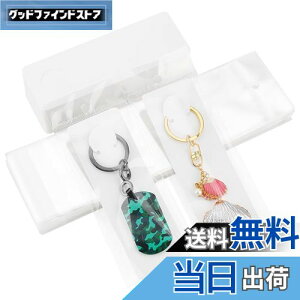 yzPH PandaHall 䎆 uXbg L[z_[p 100 OPPܕt L[O Wp  WJ[h n ANZT[p[c ̔p WG[p nhCh ifBX