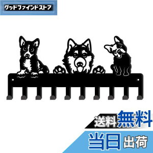 SUPERDANT 3ČL[tbN StbN Ǌ|tbN L[z_[ ǎtR[gbN EH[nK[ }`tbN lWttbN ǖʎ[  ω׏d EH[b