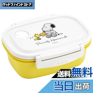 yzXP[^[(Skater) Ny y ٓ M 550ml WΉ V[e ۑe Xk[s[  { XPM4-A