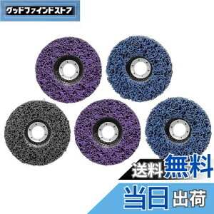 【送料無料】STEBRUAM クリーニング 研磨 ディスク 125mm 5個セット サビ クリーニング DIY木材 塗装ペイント除去 研削金属 サンダー ペンキ ディスクグラインダー 研磨パッド グラインダー(2枚プ