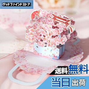 yzKesote J[h  bZ[WJ[h 2Zbg  |bvAbv o^C    t