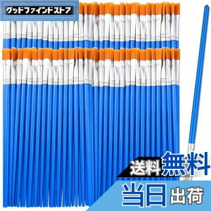 yzDFsucces M GM 50{Zbg 16.5cm ޕM ʕM vf h ʉ G AN yCg