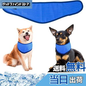 pN[o_i N[lbN p⊴O ybgpp pN[XJ[t p^I ybgp⊴ pXJ[t {[_[ ΍ObY ₷ y ߉\ 