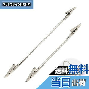 【送料無料】PAVIKE メタルワイヤー写真メモ 2本入 メモクリップ クランプ,メモ用 ワニ口 フォトホルダー,メモ用ワニ口,ダブルヘッド ワニ口クリップ 蚊取り線香スタンド 写真用 金属 オ