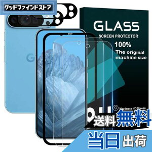 yzywF 2+2 KChgtzWekrsu YɎqf KX Ή Google Pixel 9 Pro KXtB JtB Jo[ t/Y یtB