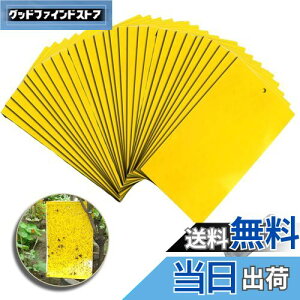 yzVitalBloom ߂SV[g 悯v[gߒV[g hV[g XeBbL[ Lb`[ nG AuV ~oG Q΍pi ʋ͔SߒV[g OΉ