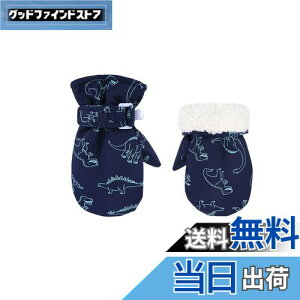 yz[Tidyworm] xr[    ~ Ԃ  ~g h h V LbY  O[u j̎q ̎q qp ΍ ʉ ʊw AEghA (lCr[, 6`2)