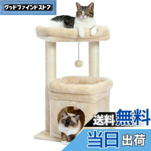 yzPAWZ Road Lbg^[ ~j L^[ ^ Ⴂ  u lC ܂Ƃ|[ ܌ R L̂ RpNg ȃXy[X  S LnEX W] - 68cm x[W