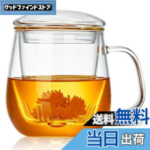 yz|JeB[ t}OJbv ϔMKX eB[Jbv 520ml Infusion Mug  }bO Wt ΑΉ dqWΉ g }OJbv NARbv  [teB[ H