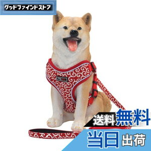 yzTHAINn[lX[hZbg  ^ h~ ͗l Ԕ TCY߉\(M ͗l)