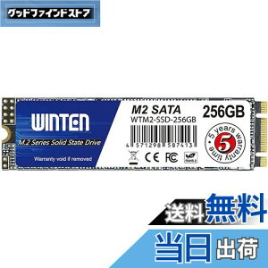 yzWINTEN SSD M.2 SATA 256GB 2280 3D NAND SATA3 6Gb/siőǎ 500MB/s ő发 500MB/sjG[@\ ȓd Ռɋ ^yzWTM2-SSD-256GB 6083