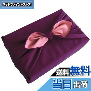 yzzCgnEX n C~ ʐ 100×100cm (×)