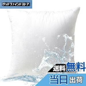 �y���������z�y.co.jp ����zPhantoscope �N�b�V���� ���g 45×45cm �P�i ����V���R���� �R�ۖh�L �􂦂� �_�炩�� �k�[�h�N�b�V���� �������H �h�� �{�����[���� ���O �z�e���d�l ��e���ǂ� ����