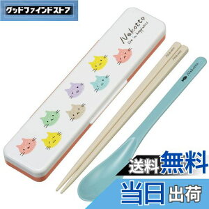 yzXP[^[(Skater)  Xv[ RrZbg 18cm RۉH ٓ lp VRNbVtŉȂȂ { ˂ Jt CCS3SAAG