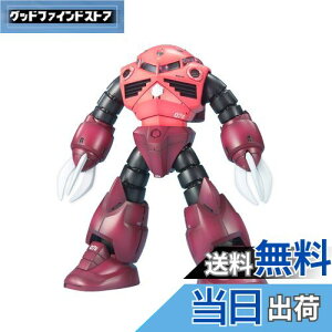 yzBANDAI SPIRITS(o_C Xsbc) MG @mK_ MSM-07S VApYSbN 1/100XP[ Fς݃vf