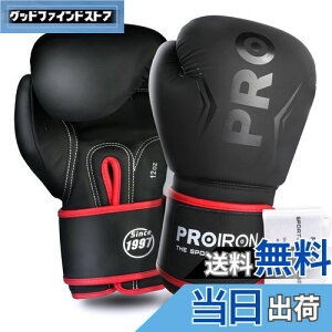 �y���������zPROIRON �{�N�V���O�O���[�u 12oz �{�N�V���O�p�O���[�u �p���`���O�O���[�u ���� �ϋv�������� ���K boxing gloves �����e�i���X�o�b�O�t�� 1�N�Ԃ̕ۏ�