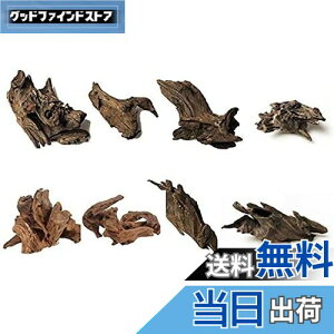 yz8 كVN R GCuؐ̑ i 8`10cmj