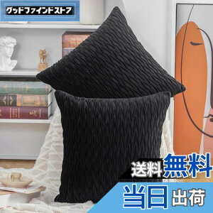 【送料無料】Madizz クッションカバー 2枚セット 北欧 柔らかい ビロード無地 背当て 装飾 枕カバー 座布団カバー ソファ用 寝室用 50 x 50 cm ブラック