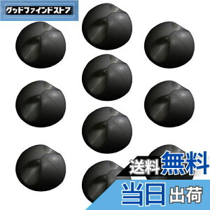 yzF-FACTORY R[hNbv P[uNbv ʃe[vt  ubN 10 FNT-CLP28BK-10P