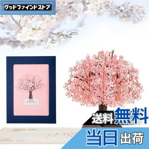 yzKesote bZ[WJ[h  ̃J[h |bvAbvJ[h o^C    t