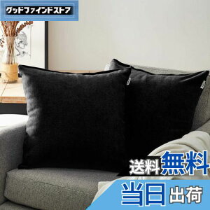 yzTopfinel NbVJo[ lۂ 45×45cm k  Ȗ n \t@w Jo[ zcJo[ ubN 2ZbgiS18Fj