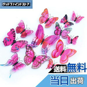 yzULIN  3D  EH[XebJ[ ǎV[  ʃe[v V[ rO ① CeA ǃV[  킢 EH[y[p[ |X^[ p[v