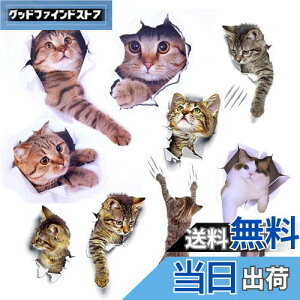 yzPazi EH[XebJ[ L   XebJ[ ˂ V[ 킢 3D ȒP DIY  \Ă͂  ǎ gC  Lb` CeA