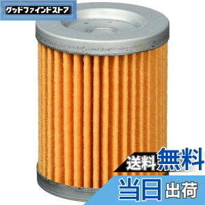 �y���������z�L�^�R (KITACO) �I�C���t�B���^�[�G�������g K-PIT S-05 �X�J�C�E�F�C�u250 �o���o��200 �}�O�U�� �O�����h�}�W�F�X�e�B �� 70-390-12050